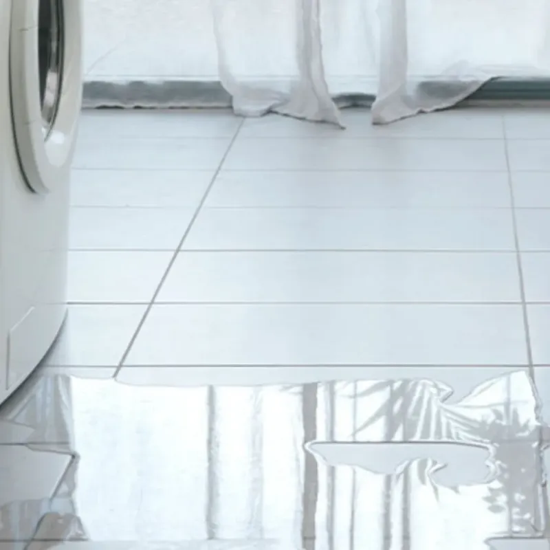 Appliance Leak Cleanup in Greendale, IN