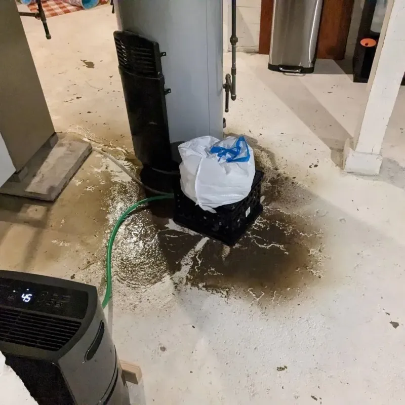 Sewage Backup Cleanup Service in Greendale, IN